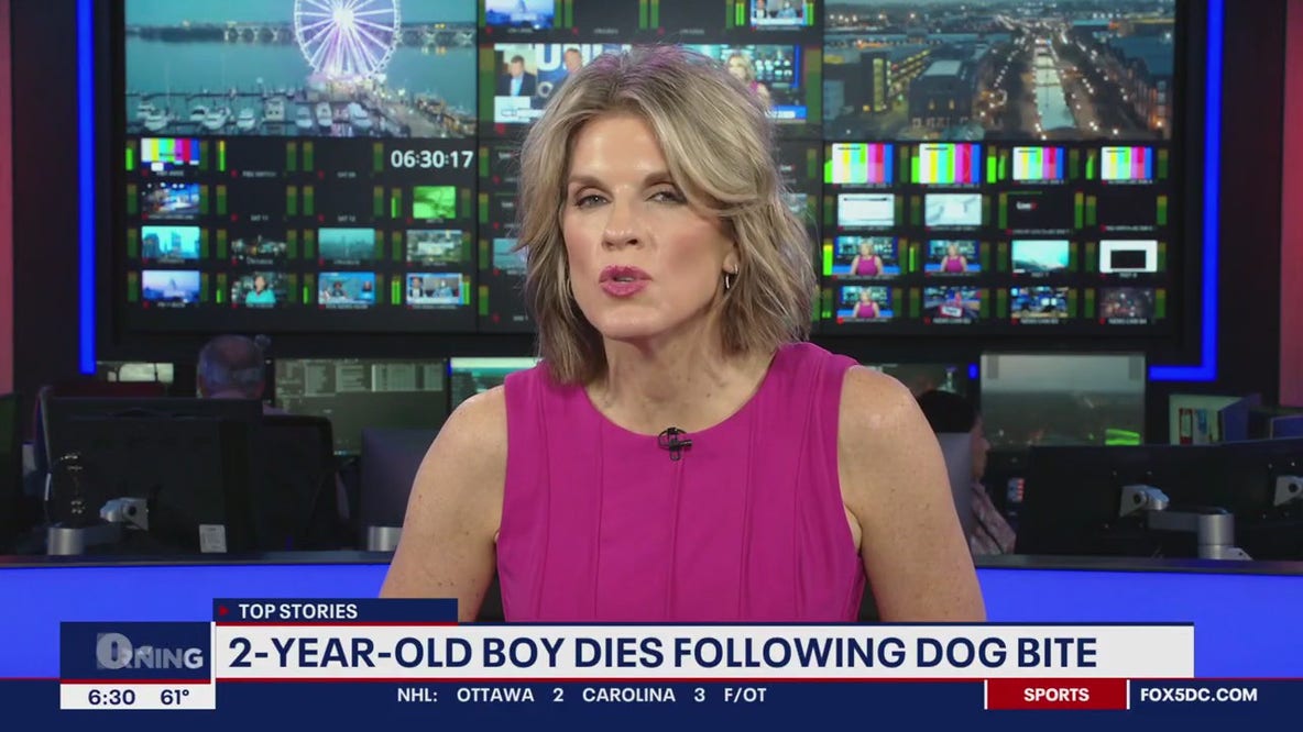 Dog kills 2-year-old Virginia boy in Maryland
